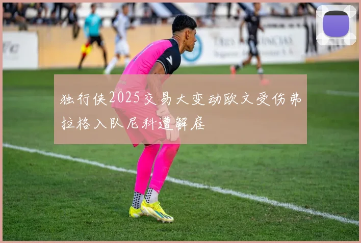 独行侠2025交易大变动欧文受伤弗拉格入队尼科遭解雇