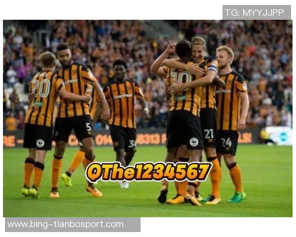 赫尔城赛前18分钟宣布比赛取消引发沃特福德强烈不满质疑决策合理性